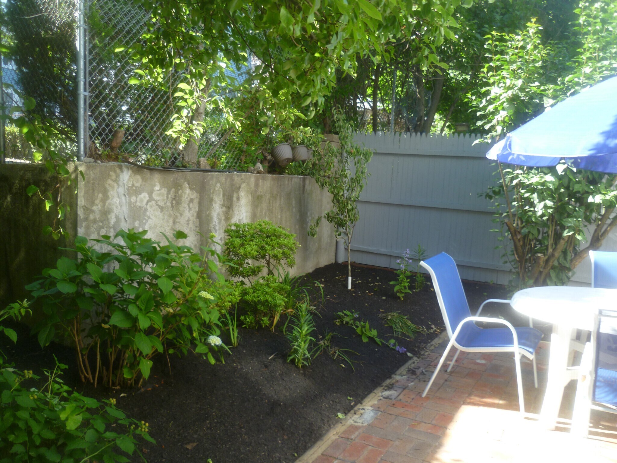 Building Photo - 56 Hobson St