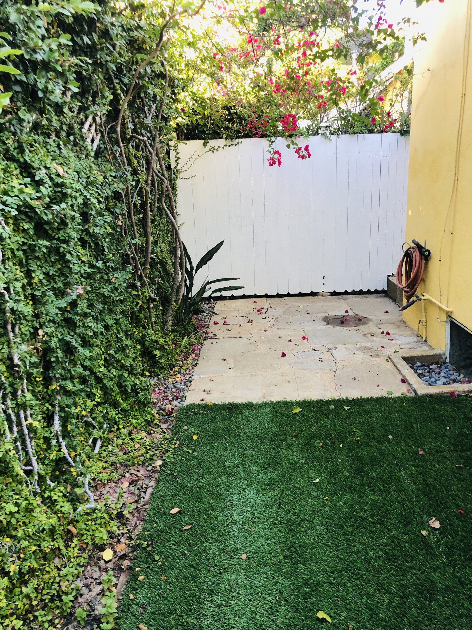 Building Photo - 3120 Colorado Ave