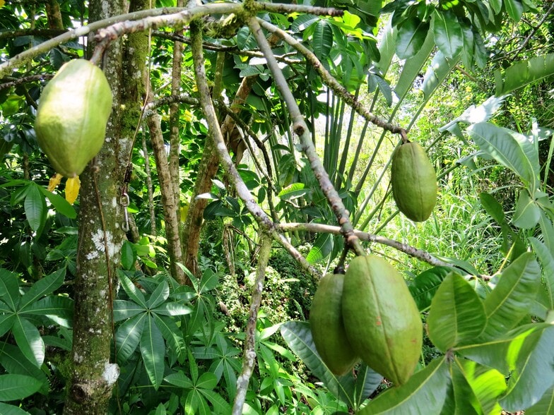 Building Photo - 15-1414 24th Ave