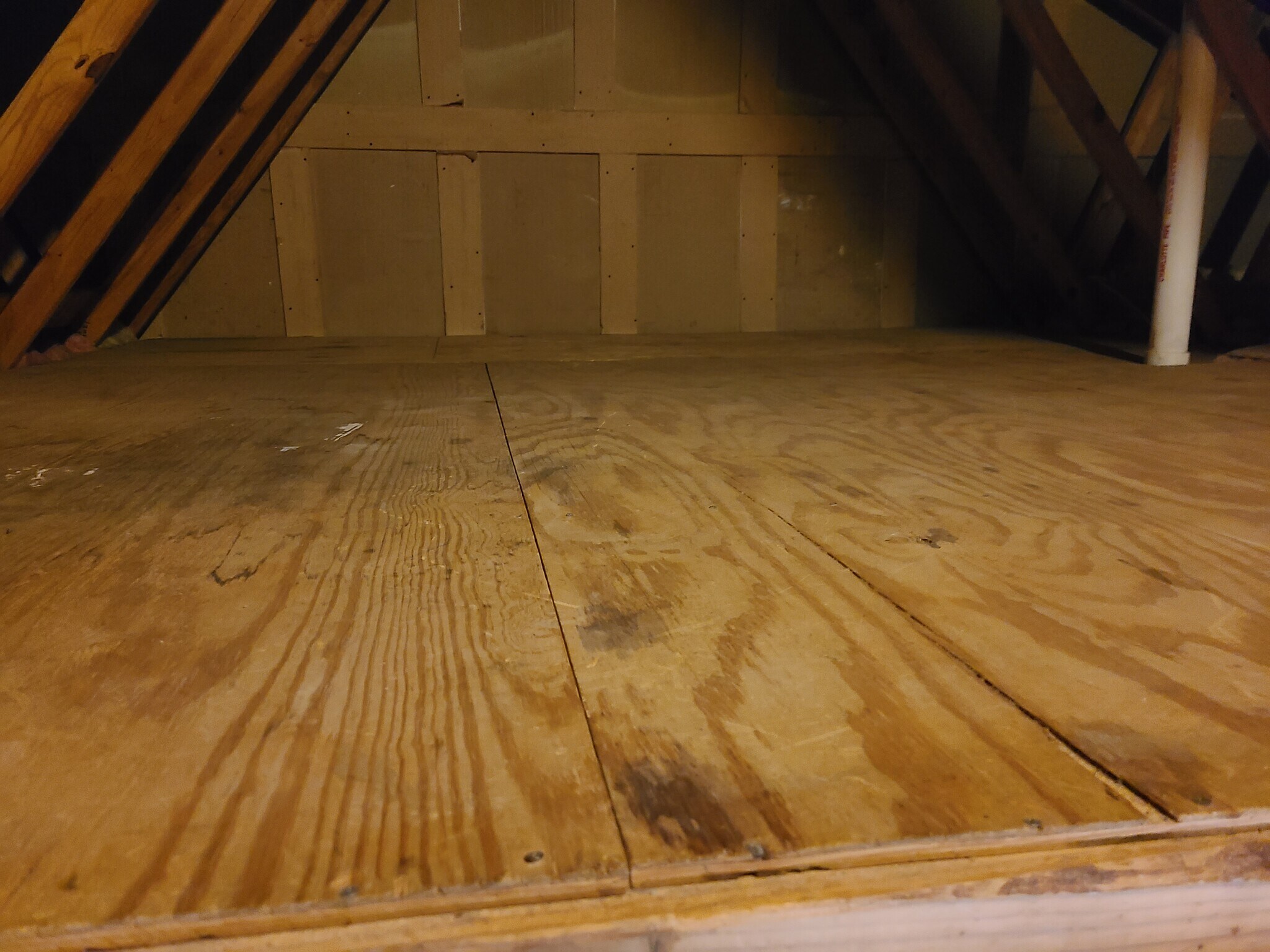 Attic Storage - 1207 Brice Sq