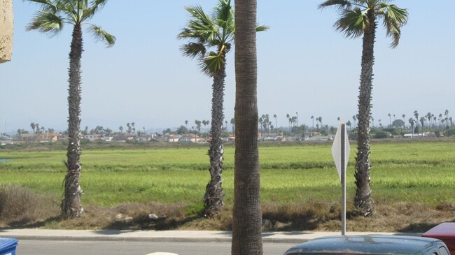 Building Photo - At the Beach