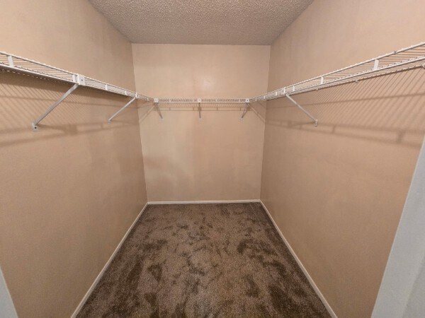 Building Photo - 1305 Andes Dr