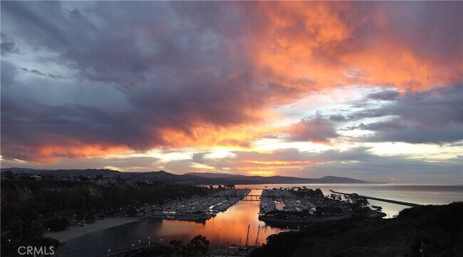 Building Photo - 33895 Alcazar Dr