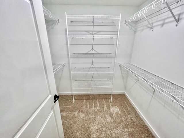 Building Photo - 8000 JT Ct