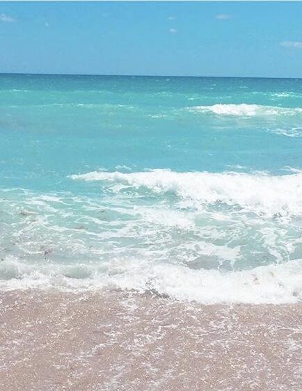 Building Photo - 1225 Carlton Ct