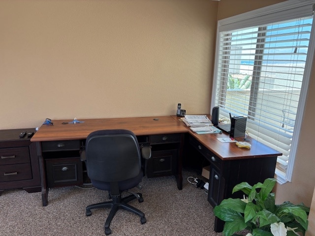 Building Photo - 711 Pacific Coast Hwy