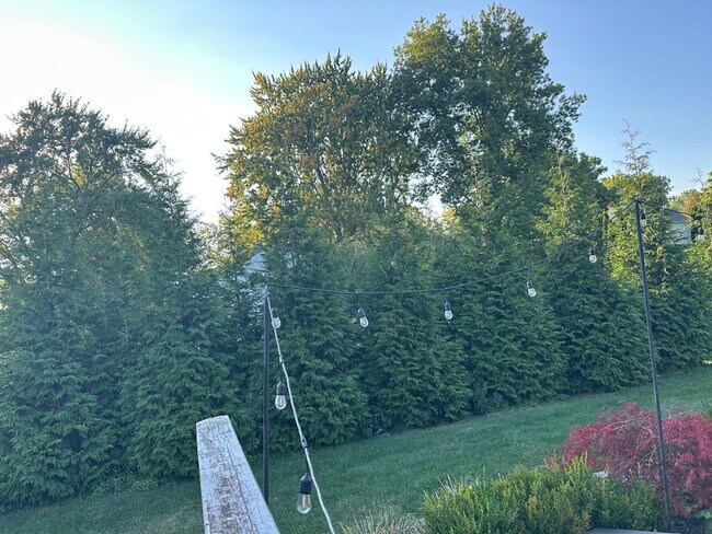 Building Photo - 5017 Saffron Dr