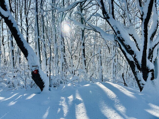 Building Photo - Experience life on Duluth's legendary Skyline Parkway with breathtaking views of Lake Superior an...