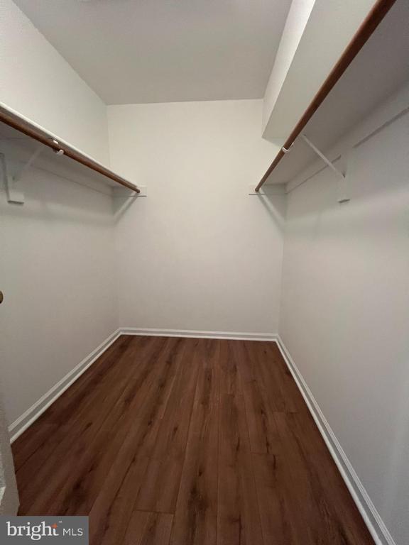 Building Photo - 12002 Lisa Marie Ct