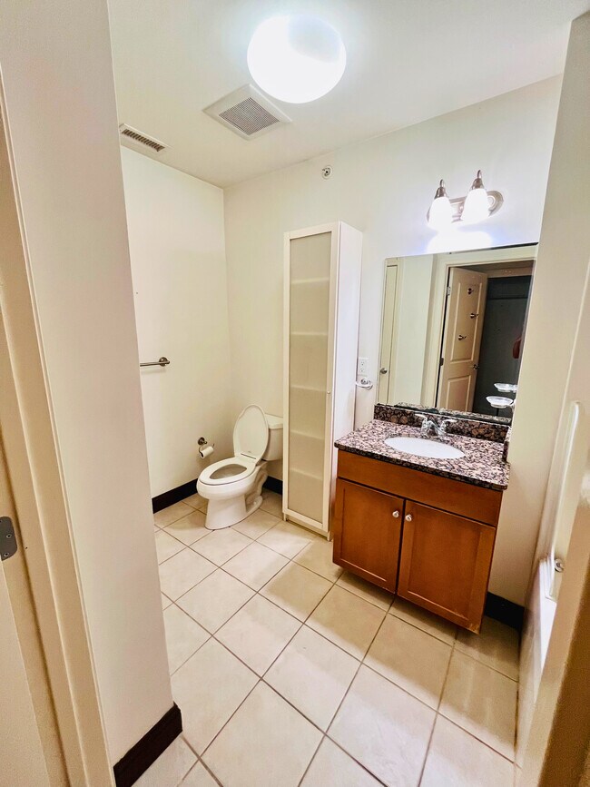 Guest Bathroom - 391 Pleasant St
