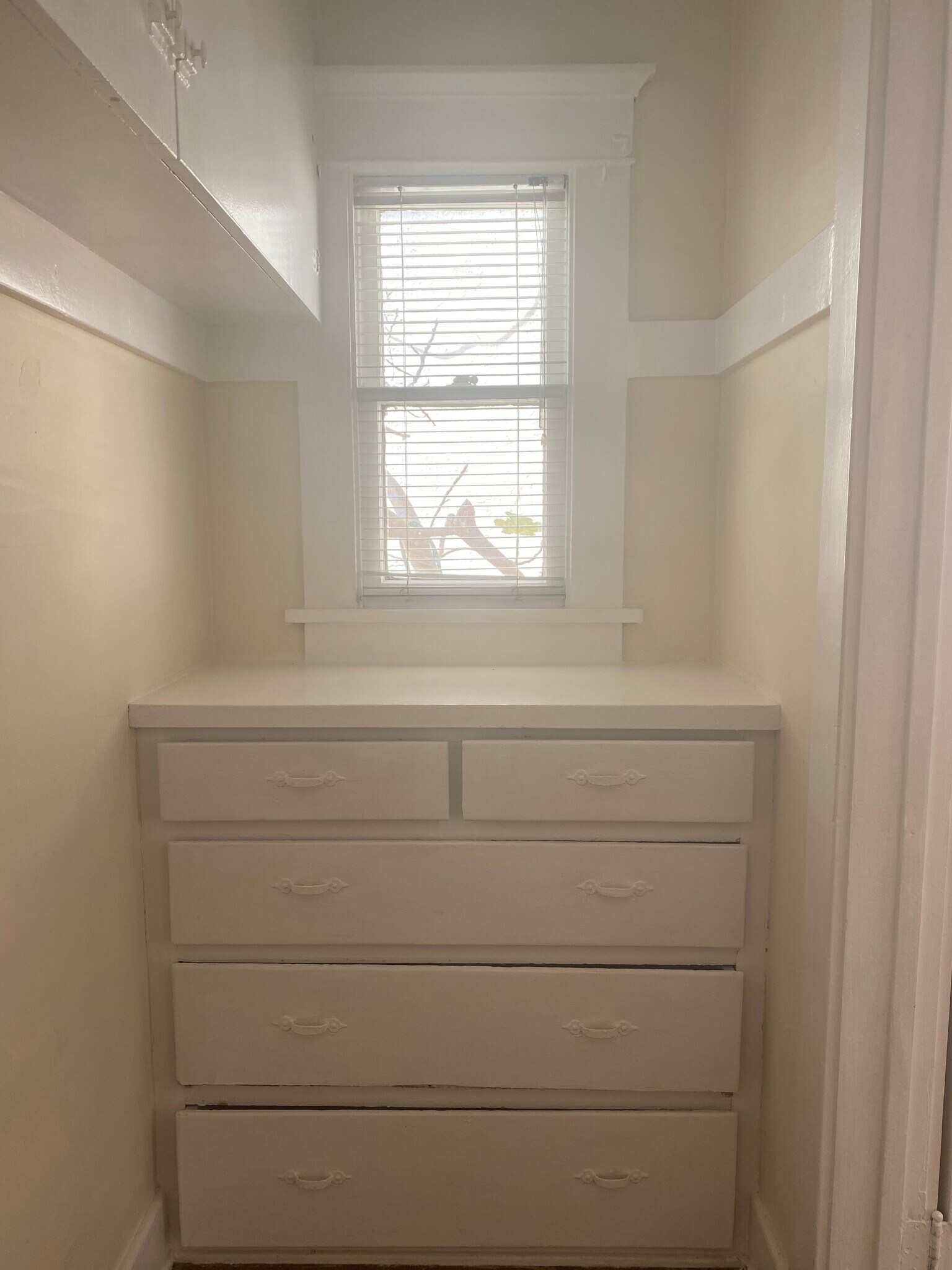 Walk-in closet built-ins - 301 Grand Ave