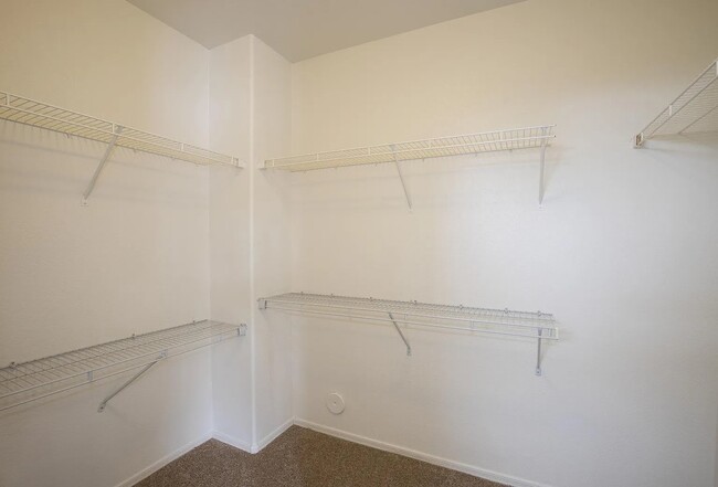 Walking closet - 2591 E Bellerive Dr