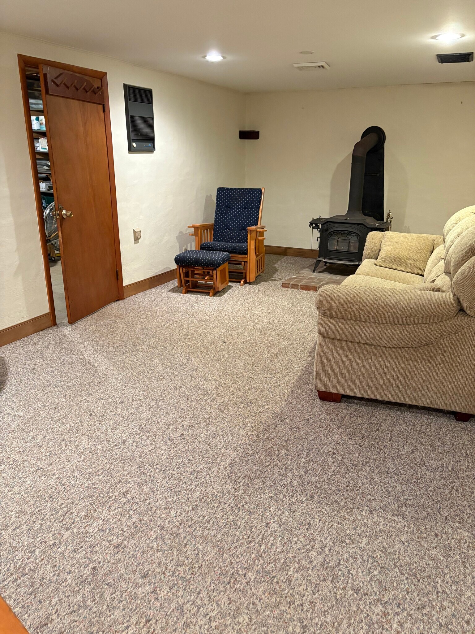 Finished Basement - 60 Leaman Rd