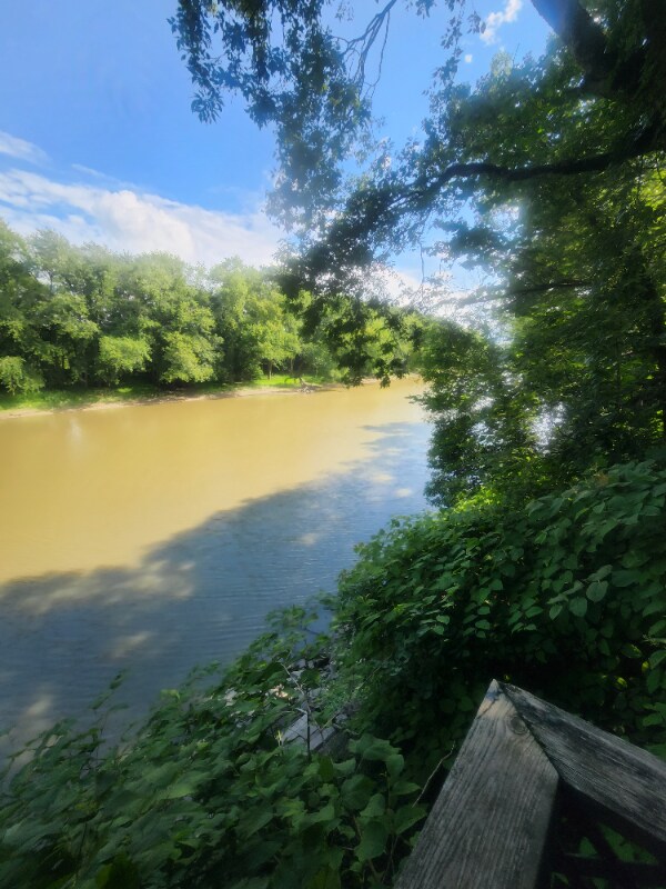 Building Photo - 504 S Martin St