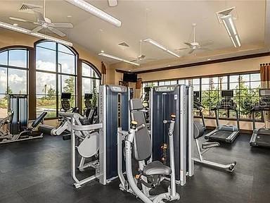 Building Photo - 11119 Callisia Dr