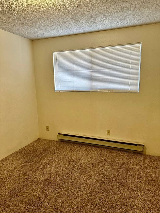 Building Photo - Hard to find 2 bdrm, 1.5 bath unit with water, sewer, and garbage.  Onsite laundry and A/C!