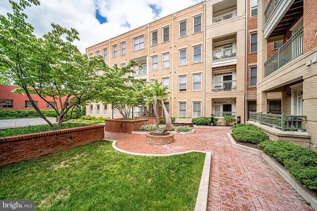 Building Photo - 1115 Cameron St
