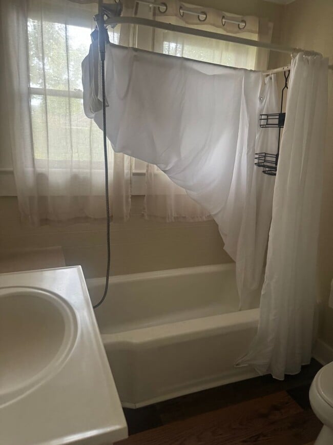 Building Photo - Charming 2 Bedroom 1 Bath In Boyce!