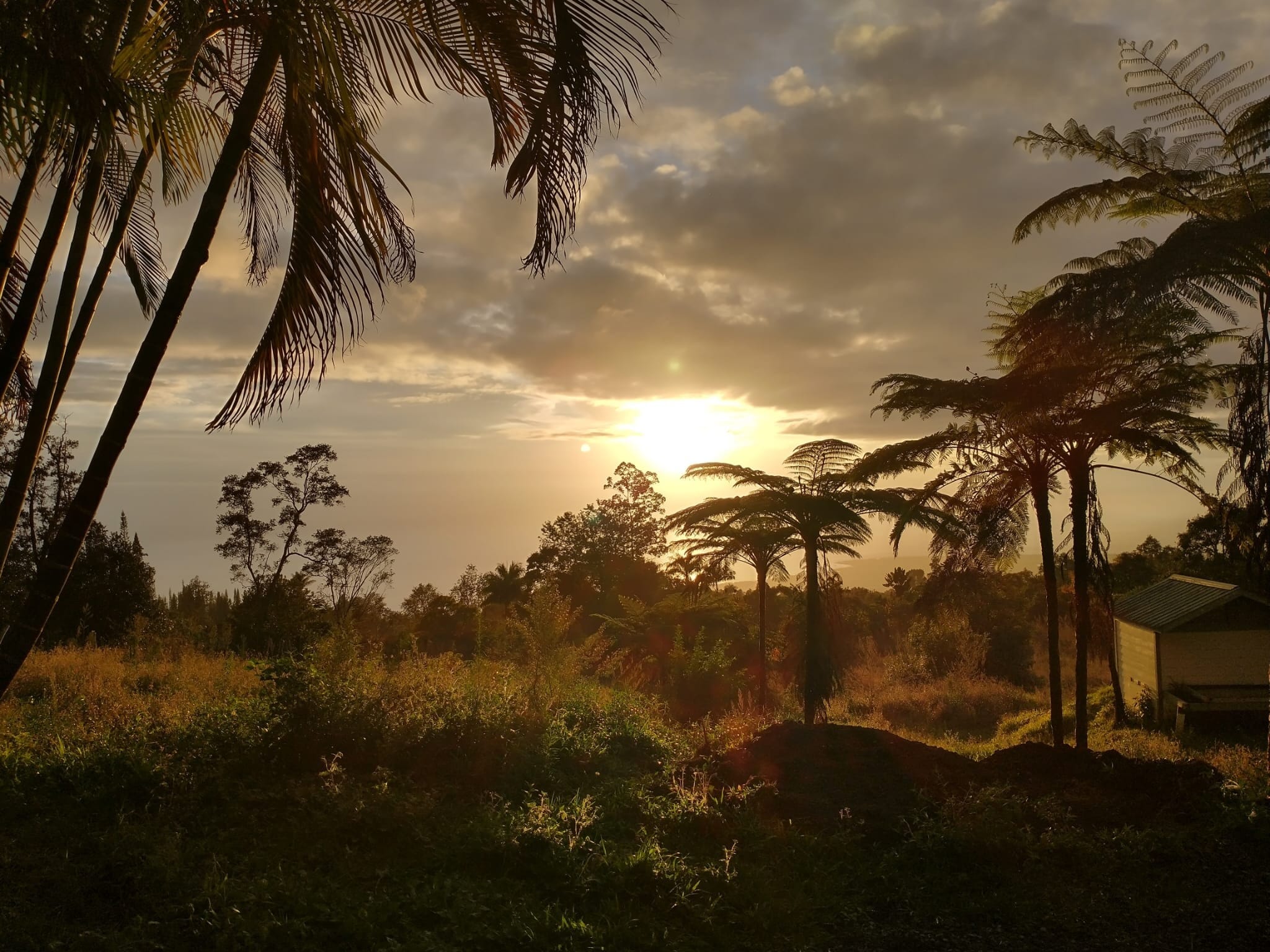 Building Photo - 75-5486 Keke St