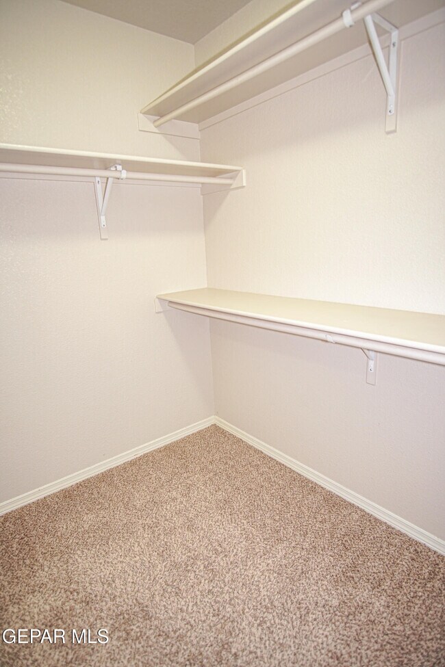 Building Photo - 10692 Canyon Sage Dr