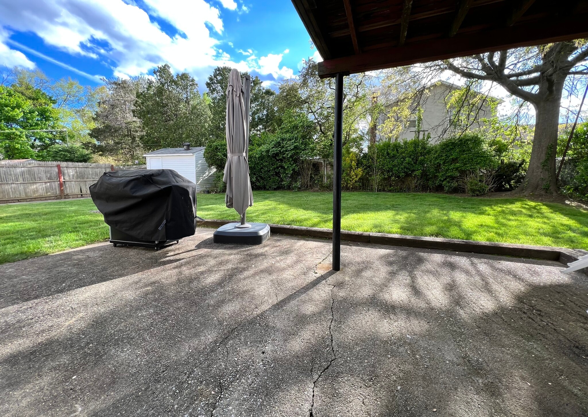 Backyard - 66 Smith St