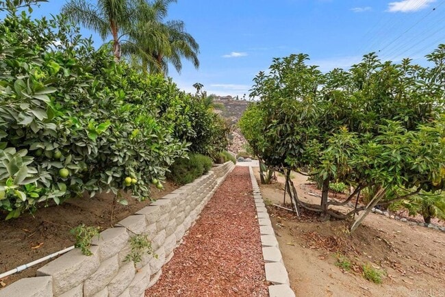Building Photo - Stunning 4BR/3BA Pool Home in Singing Hill...
