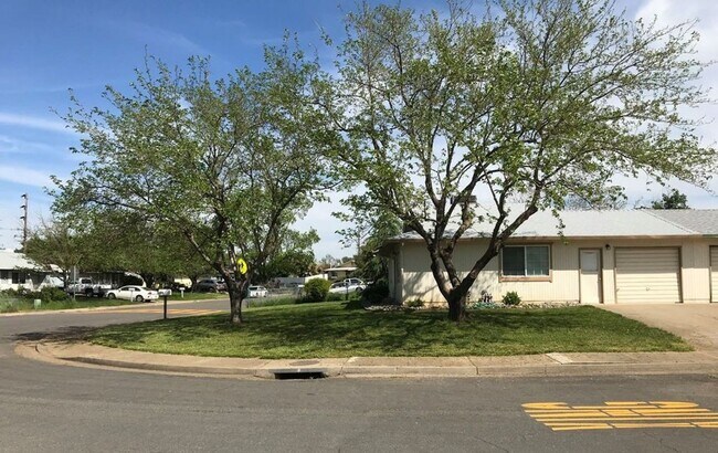 Building Photo - Attached Single Family Home located in Quiet Anderson Neighborhood