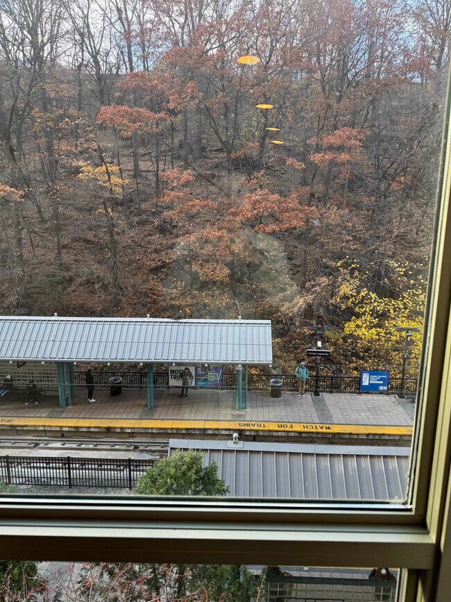 Building Photo - 800 Jackson St