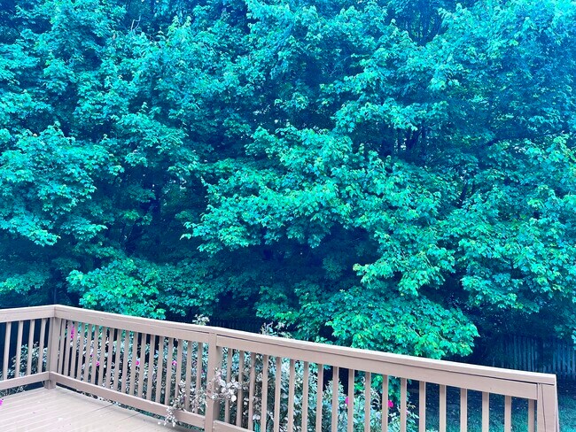 Building Photo - 4818 Oriole Dr