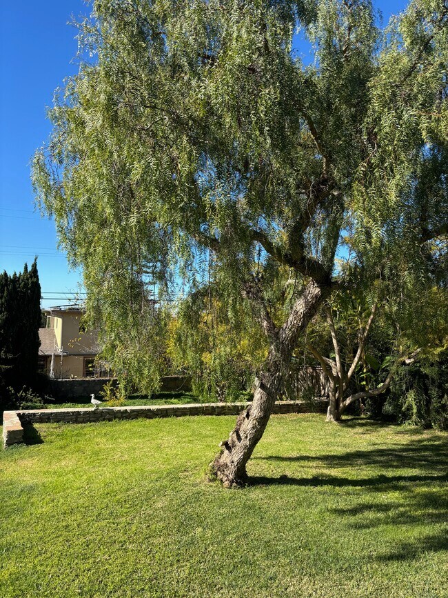 Building Photo - 1090 Devonshire Dr