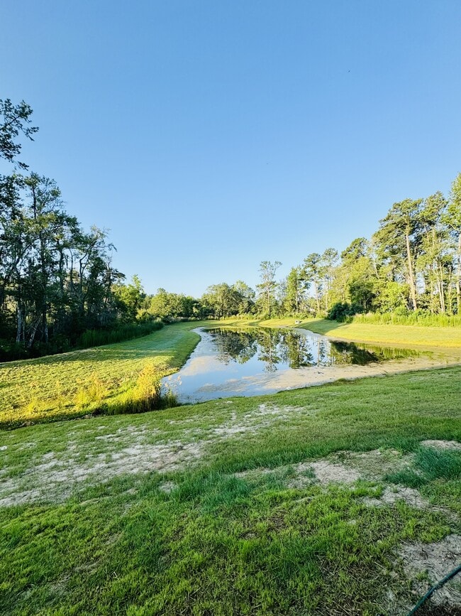 Building Photo - 405 Myrtle Mdws Dr