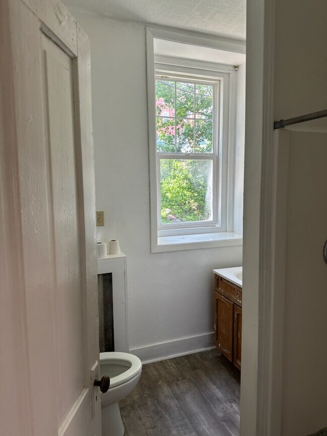 Building Photo - "Charming 1-Bedroom Haven in Duluth's Heart – Ideal Urban Oasis!"