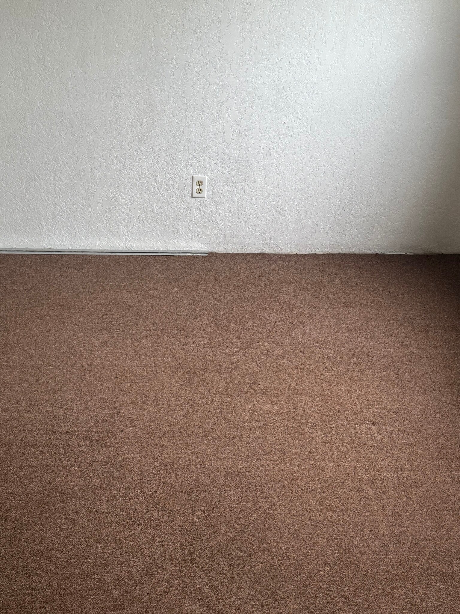 Building Photo - 433 Avenida Garza