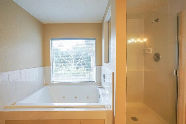 Building Photo - 1246 Manchester Cir