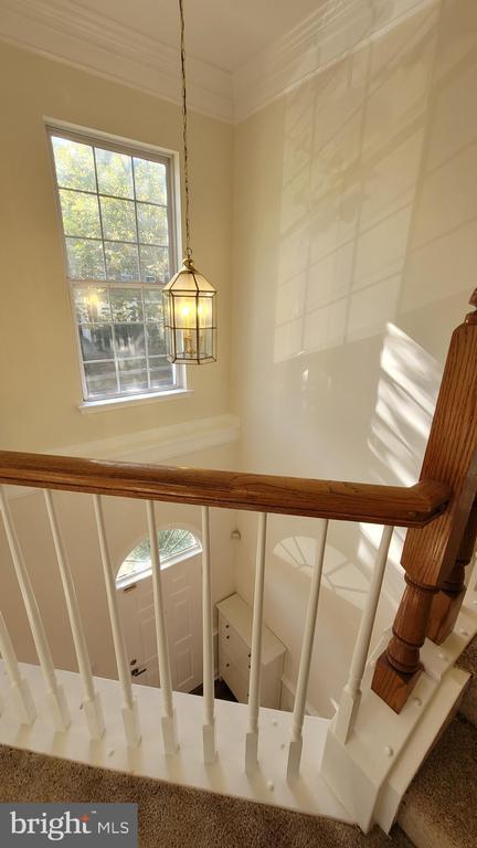 Building Photo - 13037 Town Commons Dr