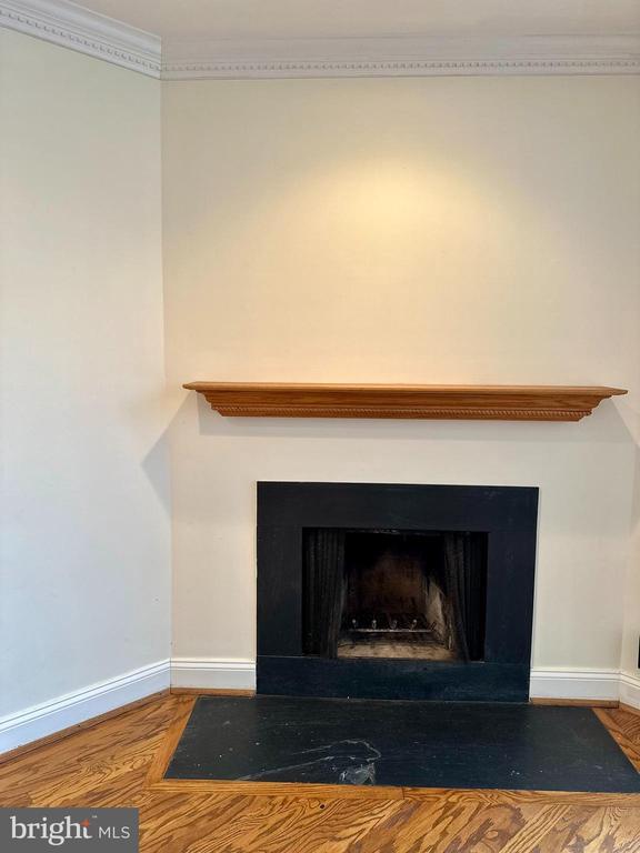 Building Photo - 1741 S Hayes St