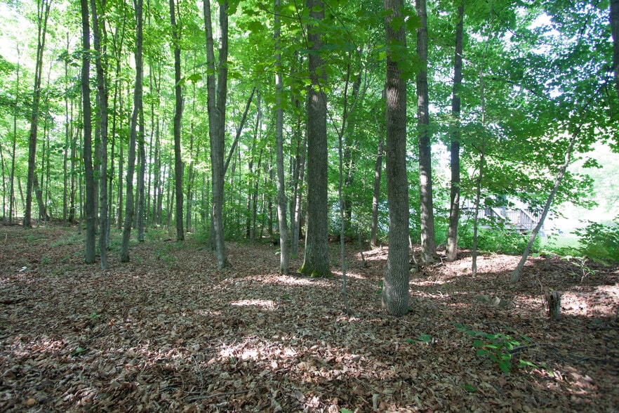 Building Photo - 1 Sawdey Rd