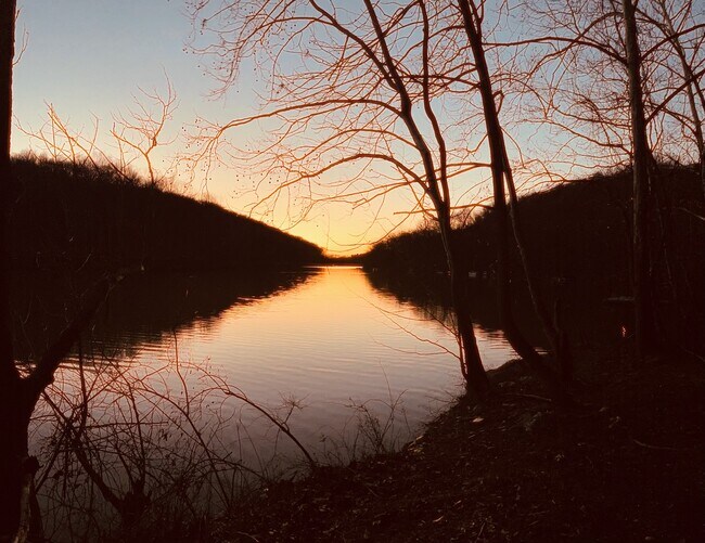 Building Photo - 10394 Meadowhead Cir