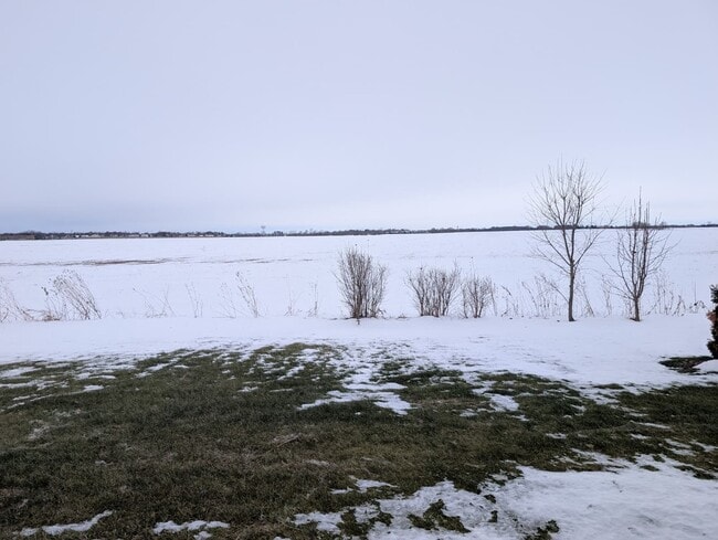 Building Photo - 1241 Gillespie Ln