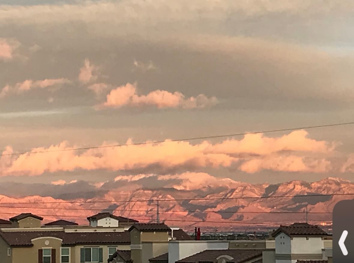 Building Photo - 62 Morning Mimosa Ct