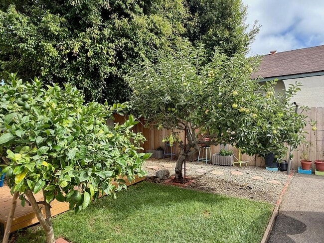 Building Photo - 1808 Castillo St