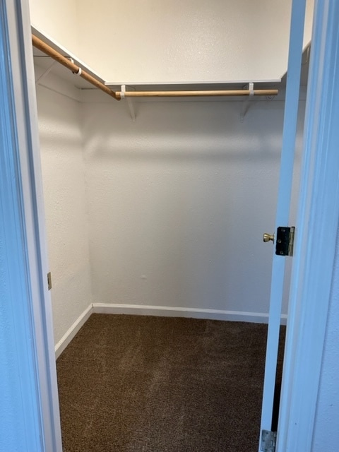 Primary features walk in closet - 11683 View Dr