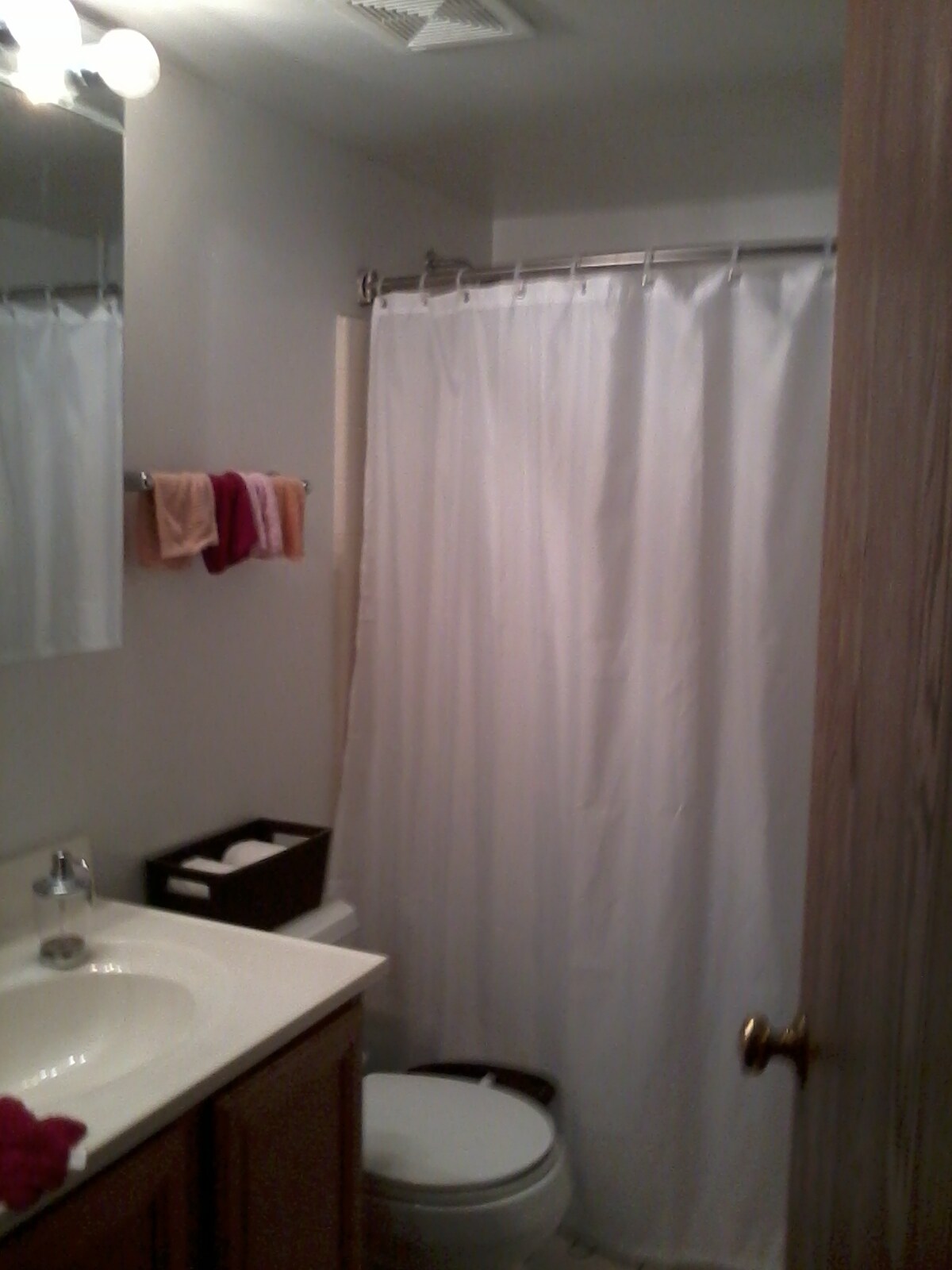 Bathroom - 2268 Abbeywood Dr