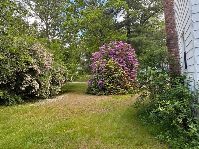 Building Photo - 12 Clewes Rd