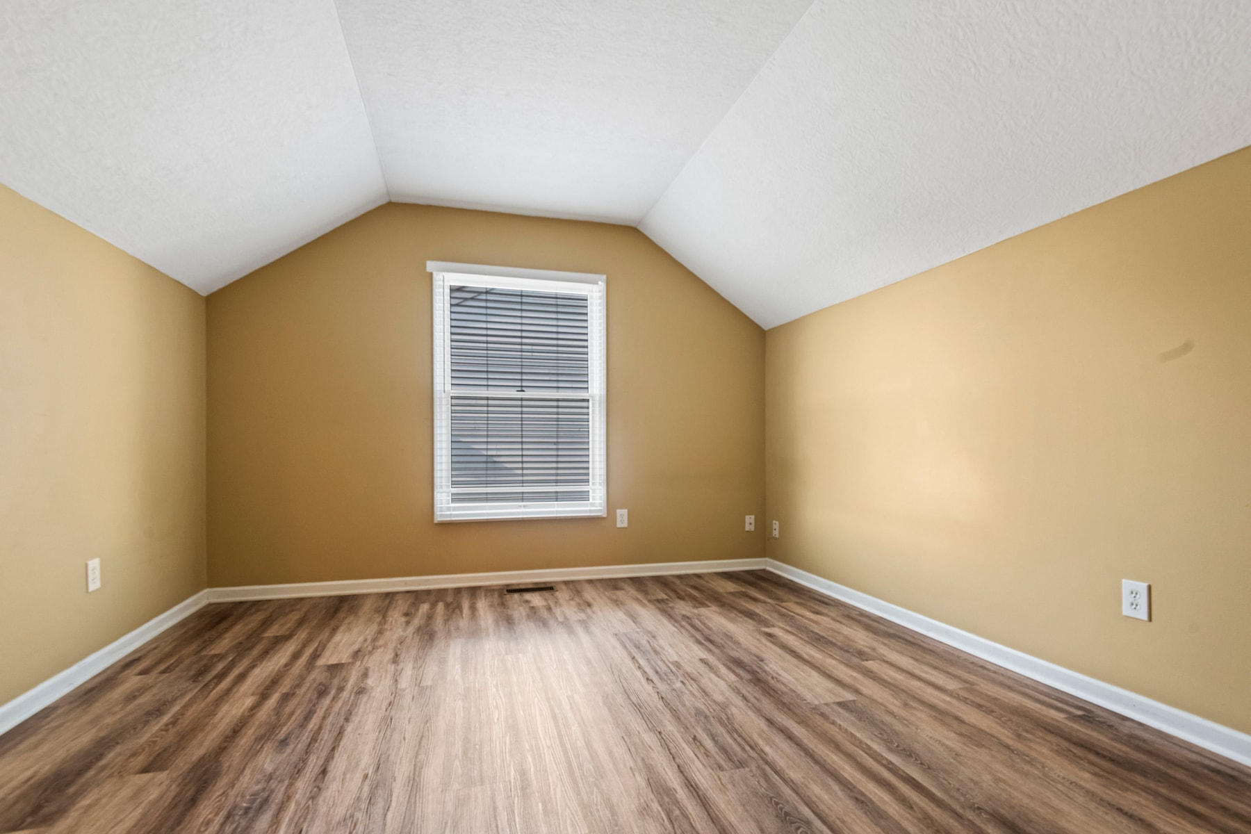 Building Photo - 429 Albion St