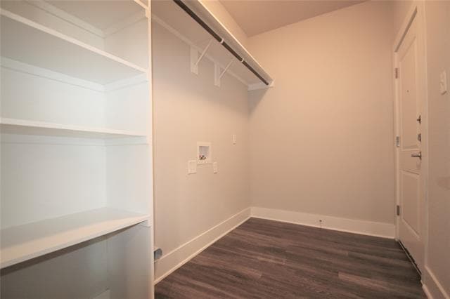 Building Photo - 205 Stewart Bend Ct