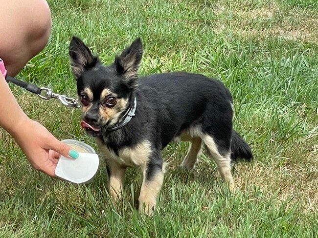 Building Photo - 119 Eastern Ave