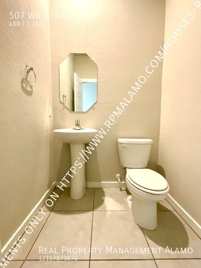 Building Photo - 507 Wild Olive Wy