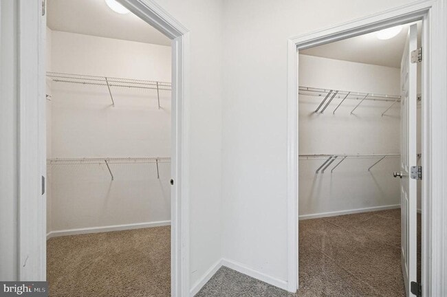 Building Photo - 24267 Purple Finch Dr