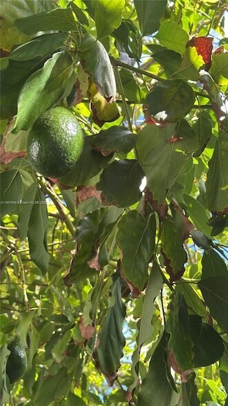 Building Photo - 421 75th St